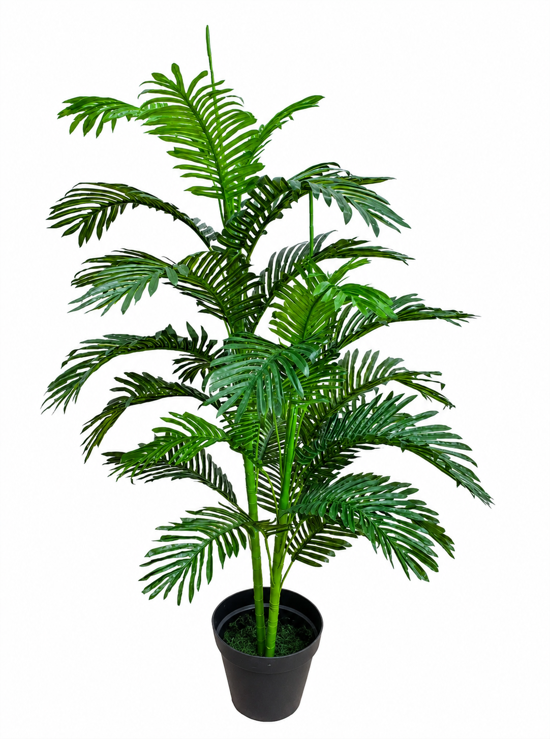 Artificial Palm Tree 5ft Singapore Artificial Palm Tree 5ft for homes offices and commercial interiors in Singapore